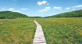 [단독] 인제 대암산 용늪 8월 내부 개방