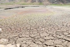 가뭄으로 거북등 처럼 갈라진 소양강댐 상류