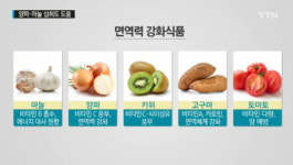 비타민C의 효능과 예방, 피로회복과 함께 면역력 강화에 최고 ‘메르스에 특효?’