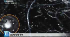 장마철 습기와 곰팡이, 숙면을 위한 베개 청결 자주 세탁하고 햇빛에 살균, 말리는 게 중요