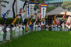 도심서 농경문화 체험