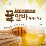 [카드뉴스] 졸업과 동시에 취업 