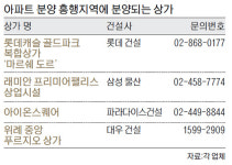‘상가투자’ 분양 성공한 아파트서 찾으세요