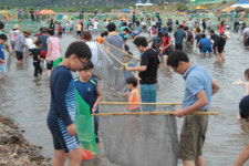 수박향 가득한 명품 황금은어 잡으러 영덕 가볼까