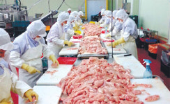 쾌적한 환경·자동화 기계… 닭고기 가공 ‘척척’