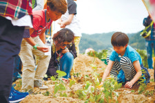 똑똑한 농촌의 변신… 지역경제 이끈다