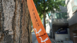 [다같이돌자 서울둘레길] 제5-1코스 관악산 코스(10)