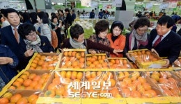 [포토] 다정다감! 단감으로 감사의 마음을 전하세요