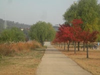 [다같이돌자 서울둘레길] 제7-1코스 봉산·앵봉산 코스 (14)