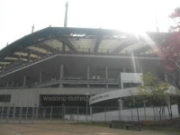 [다같이돌자 서울둘레길] 제7-1코스 봉산·앵봉산 코스 (14)