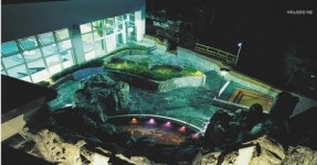 울진 덕구온천, 보양온천으로 지정