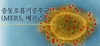 [되돌아본 2015년] 국내뉴스 한마디로 '메르스'