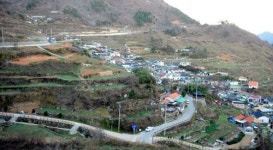 [여행] 층층 다랑논 파도처럼 물결치다