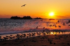 고도 경주 경주문무대왕릉에서 해룡일출제 열린다