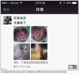 멸종위기 독수리 털 뽑고 맛있다…中 동물원 사육사 검거