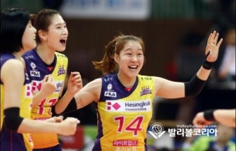 '현대건설 천적은 우리' 흥국생명, 선두 현대건설 3-0 완파하며 2015년 '유종의 미'