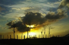 [여행] 끝없는 길… 노을 풍경에 우리도 물들었다