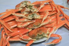 [여행] 오동통 대게야∼ 내게로 와다오!