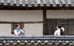 [렌즈로보는세상] 호호 깔깔… 환한 웃음 아름다운 청춘이여