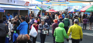 강진 마량놀토수산시장 북적북적