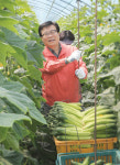 [단독] 이동필 농림, 농촌 찾아 ‘지구 다섯 바퀴’