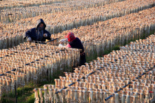 잡는 어업서 기르는 어업으로… 황금어장 가꾸기 ‘시동’