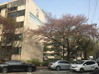 두 달새 1억 뛴 개포주공1단지, 오름세 지속될까