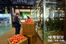 [포토] 귀농,귀촌 박람회