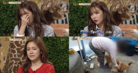 동물농장 현아, 강아지 번식공장 실체에 눈물