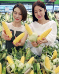 “햇옥수수 맛보세요”