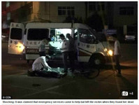 죽은 주인 곁을 떠나지 않은 개들…무려 여섯시간