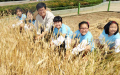 농협 농업박물관,‘보리·밀 수확하기’체험행사