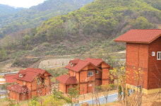 내 마음의 힐링 숲… “소백산으로 오세요”