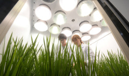 [밀착취재] “미래의 농업?… 흙·햇볕 없이도 재배하죠”