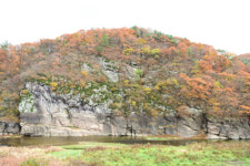반구대 암각화 보존, 결국 생태제방 건설하나