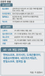 포켓몬 고 대박주 잡기… 단순 기대감에 훨훨