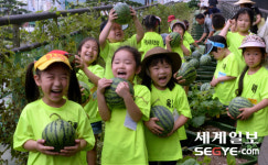 [포토] 수박 직접 따니 재밌어요