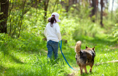 늘어나는 ‘펫팸족’… 공원 인근 아파트 뜬다