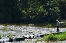 다슬기 찾아 물속 삼매경