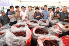 진안고원 마이산 고추시장 개장… 색깔 곱고 껍질 두꺼워 인기