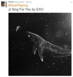 박보검, 엑소 ‘싱포유’ 추천...“누군가에게 보내는 고백송? 팬들 좋은 밤 되라고”