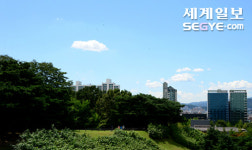 푸른 하늘 길
