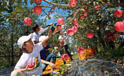 한우 맛보고 반딧불이 체험… 전북 축제 ‘풍성’
