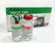 대한동물약국협회 반려동물 백신, 가정접종으로 5분의 1 이상 비용절감