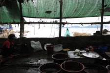 [여행] 영도의 밤은 도심의 낮보다 아름답다