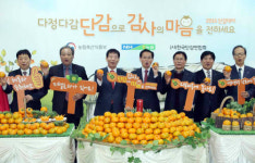 단감으로 감사의 마음을 전하세요