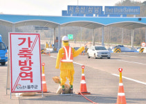 경기 농가 4곳 고병원성 AI 추가 확진
