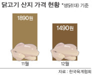 AI 급속 확산에… 외면 받는 닭고기