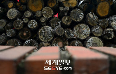 [기획] 사람 냄새 물씬 풍기는 북정마을…겨울을 품다