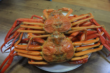 [여행] 울진 五味(다섯가지 진미) 압니꺼?